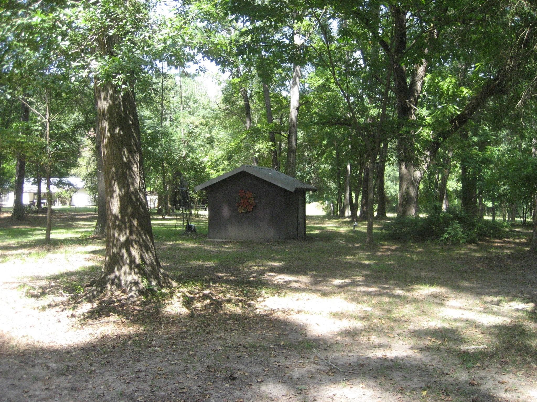 Gallery image 4