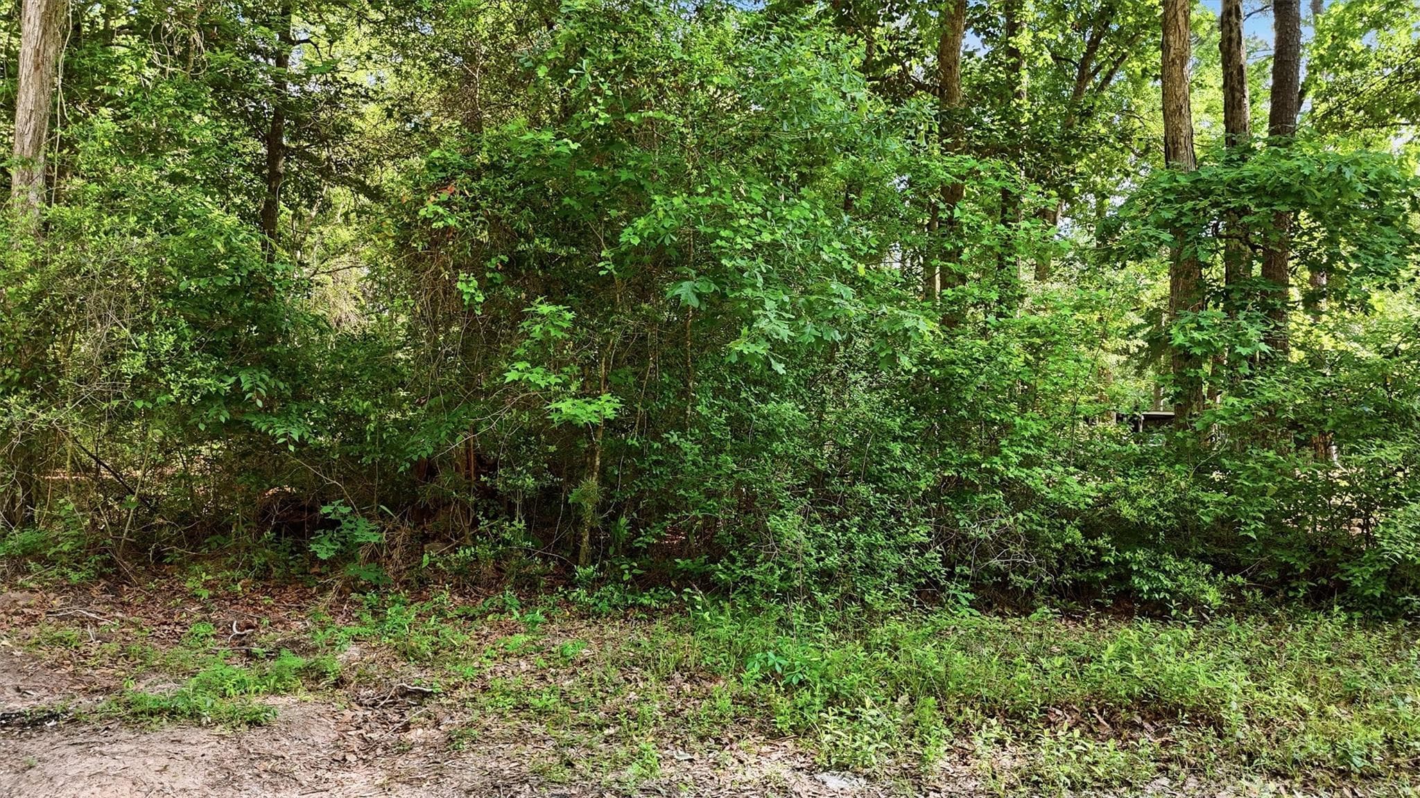 Main property image