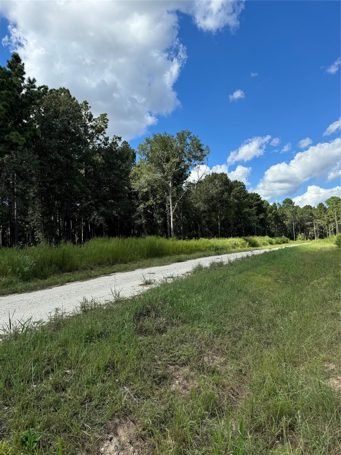 10423 State Highway 21 W