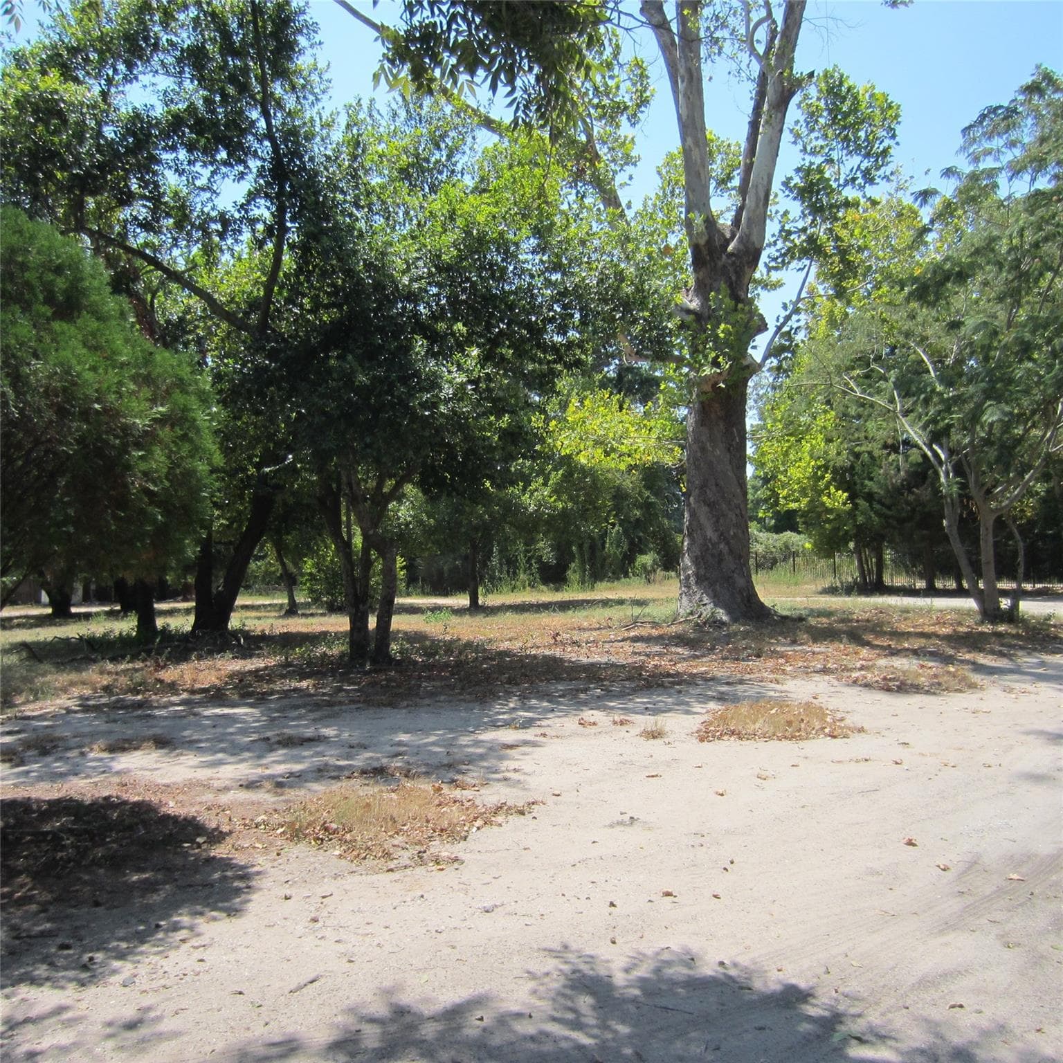 Gallery image 3