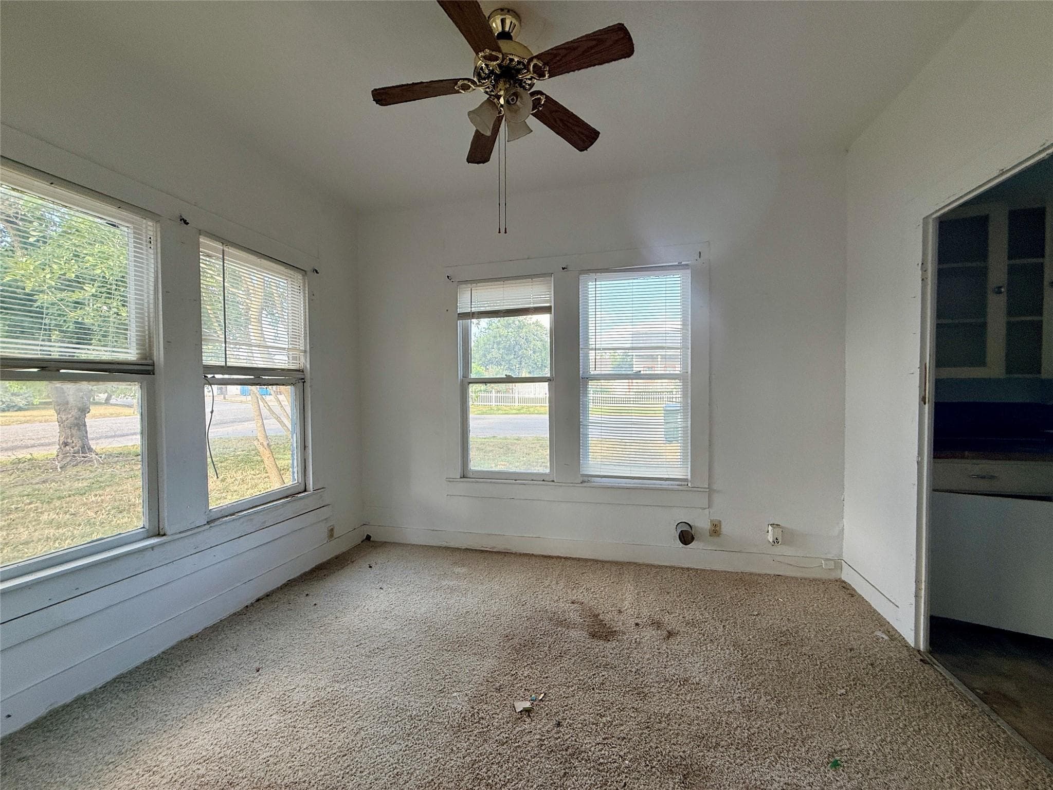 Gallery image 5