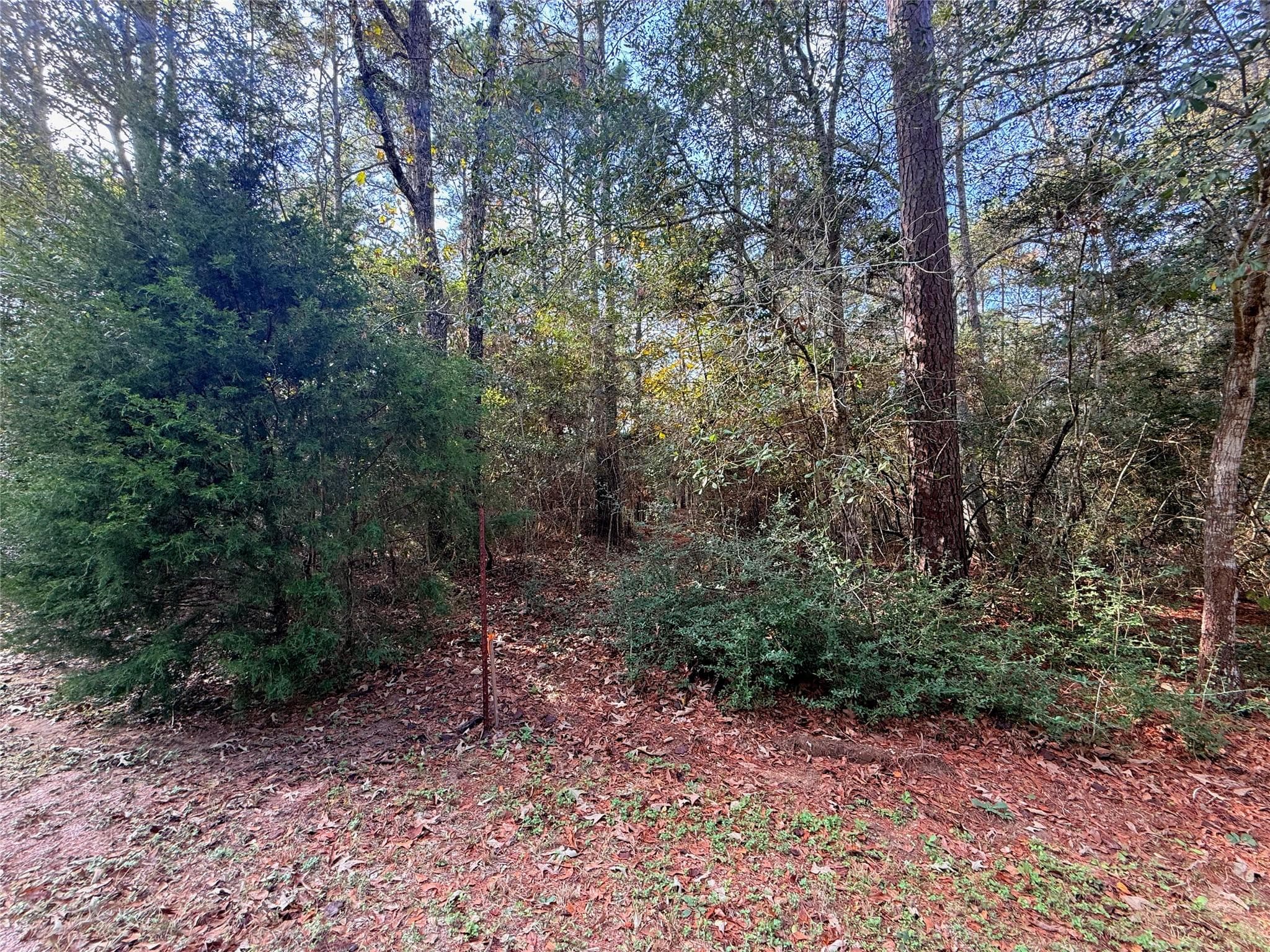 Gallery image 3