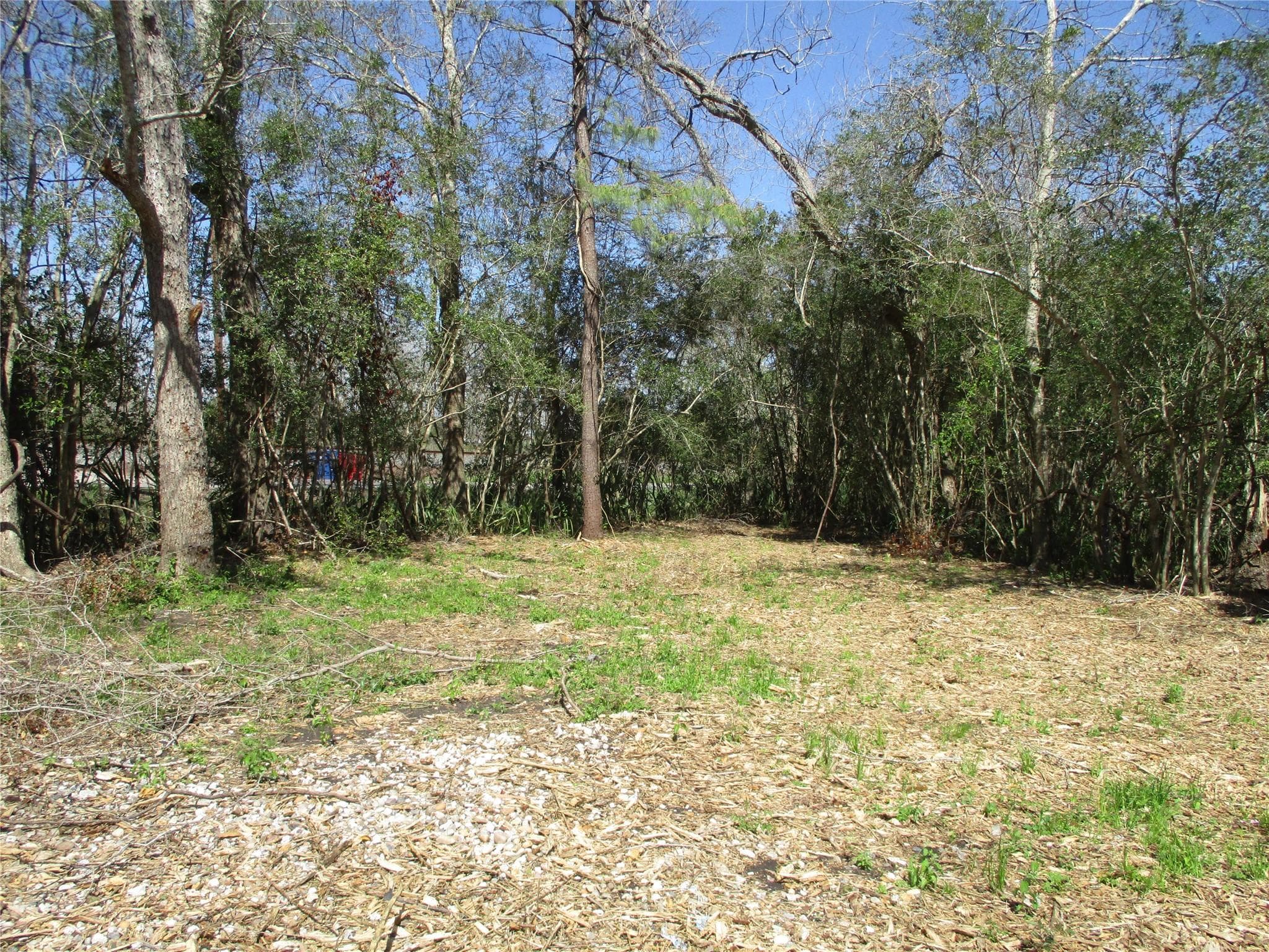 5308 County Road 334