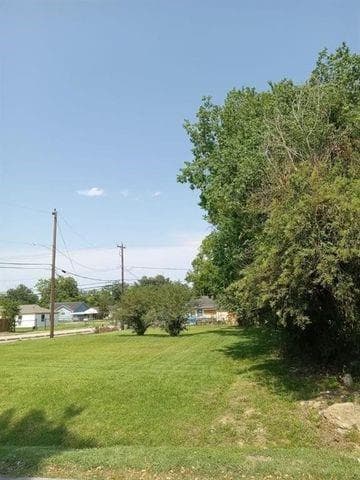 Gallery image 2
