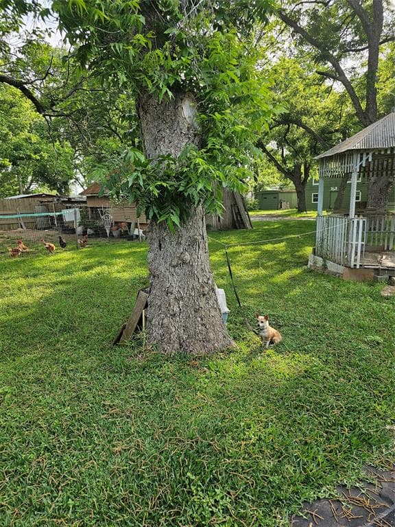 Gallery image 5