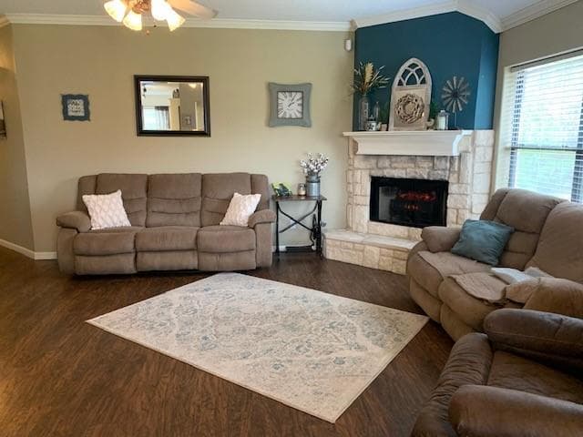 Gallery image 3