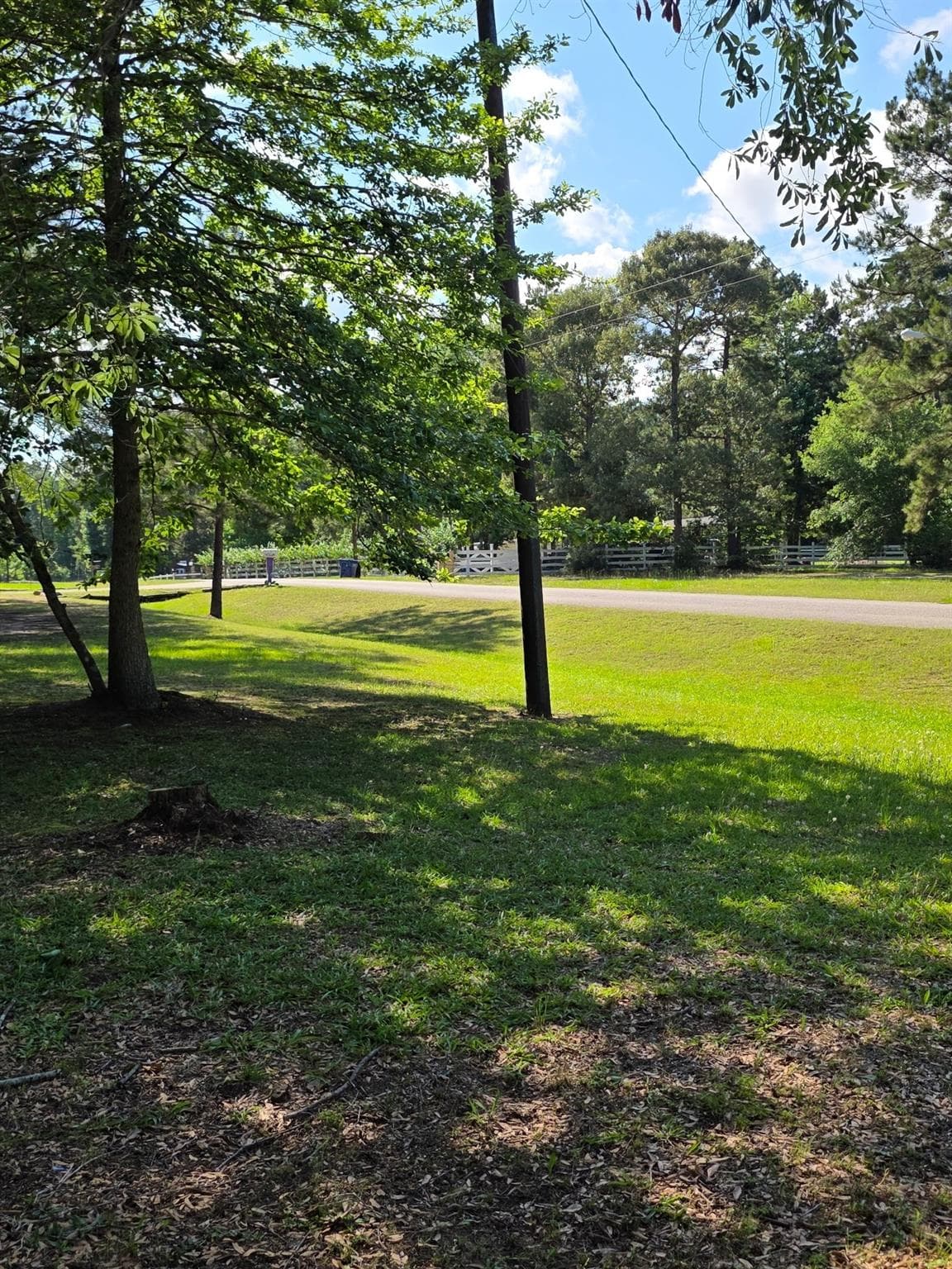 25356 Pine Knob Dr