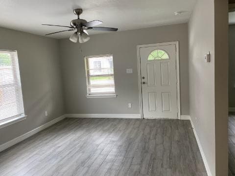 Gallery image 4