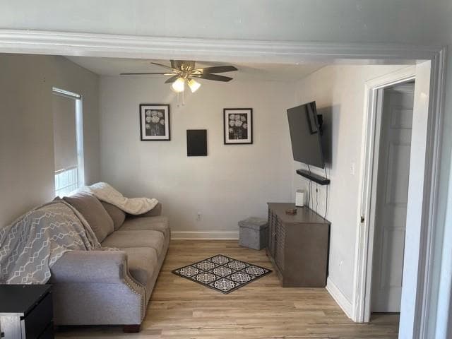 Gallery image 2