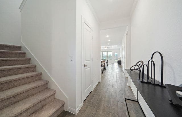 Gallery image 5
