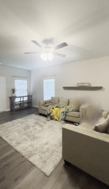Gallery image 2