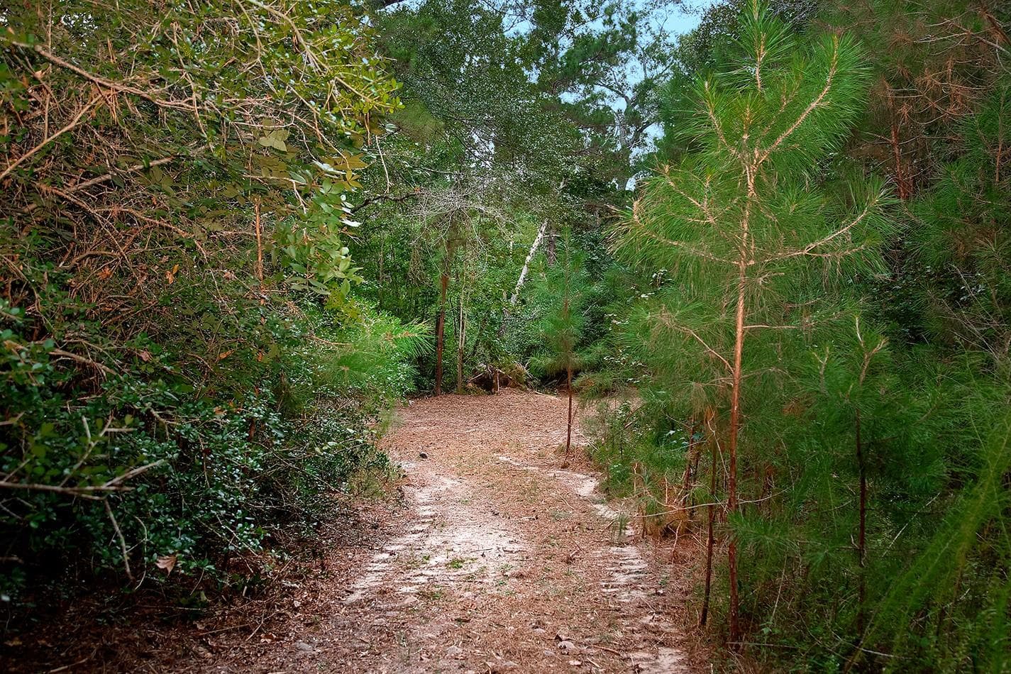 Gallery image 3