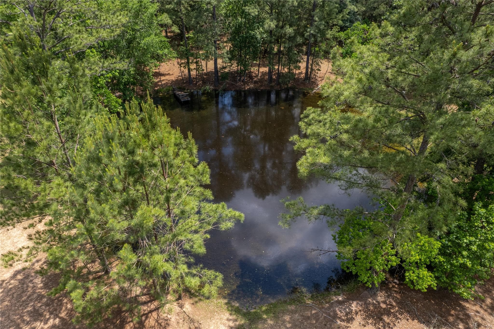 1043 Fm 1486 Rd