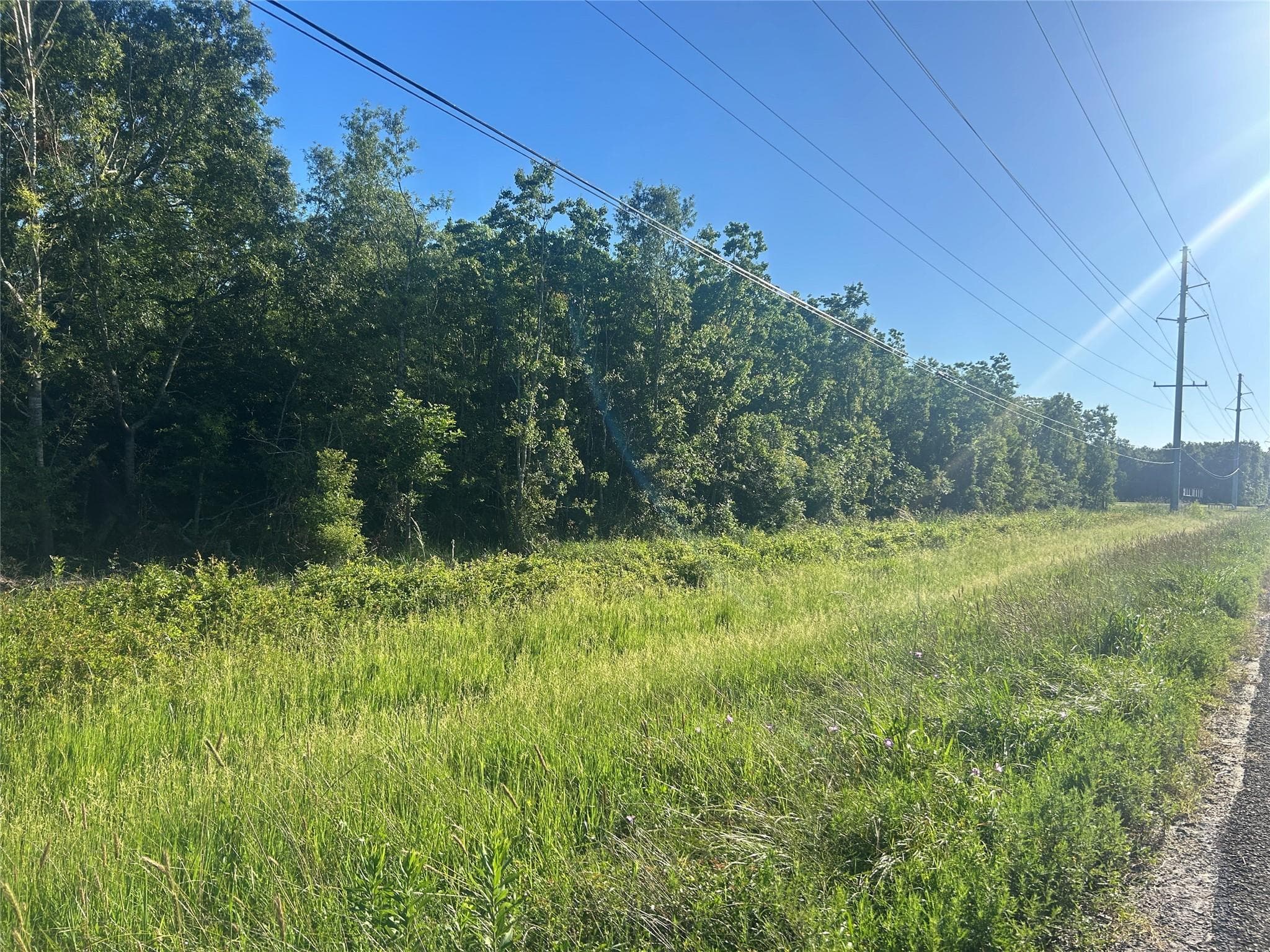 Gallery image 5