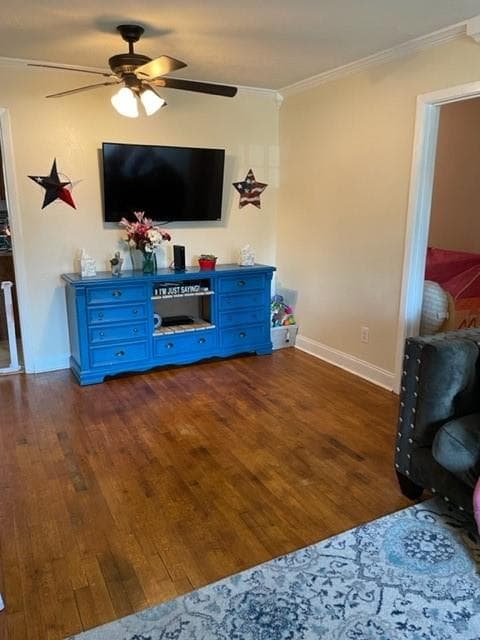 Gallery image 4