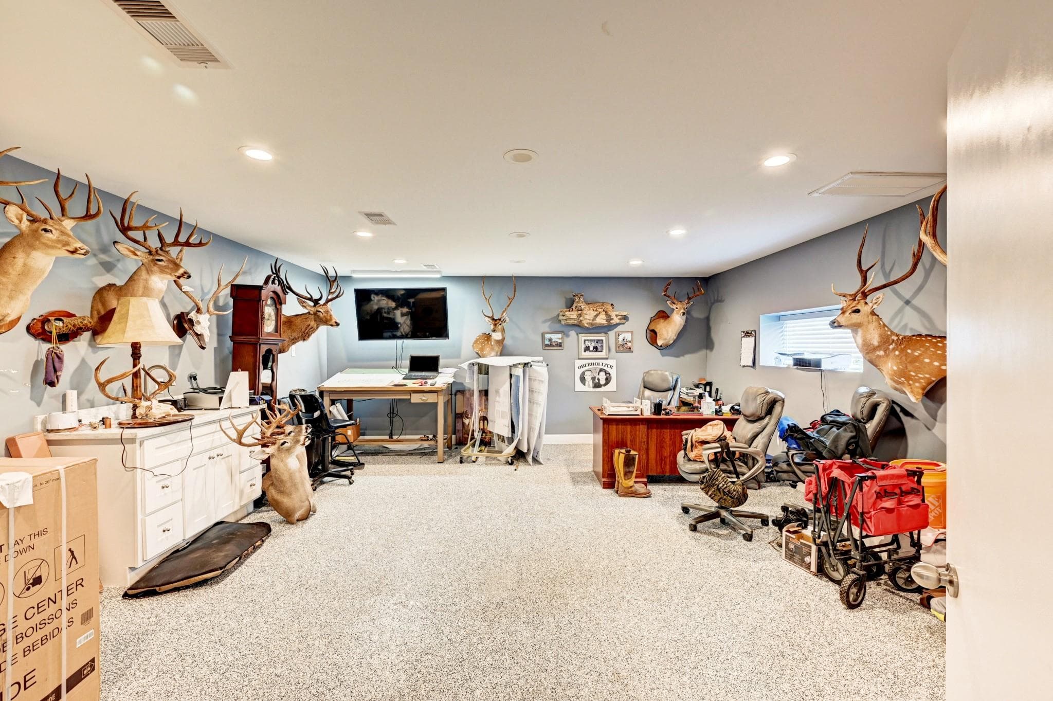 Gallery image 5