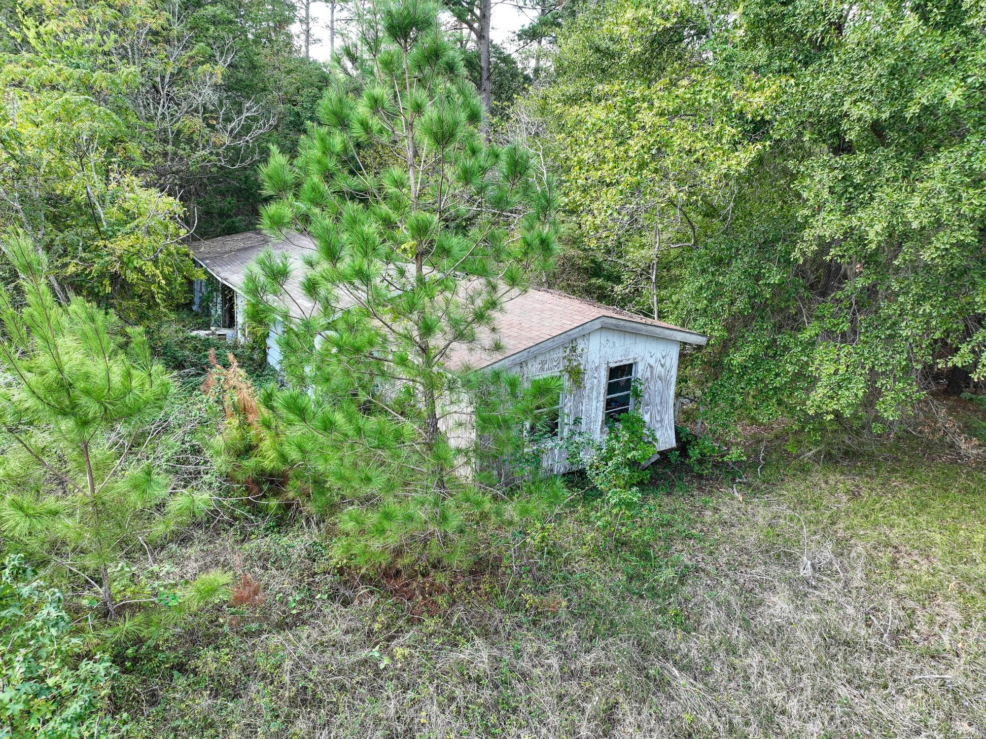 Gallery image 4
