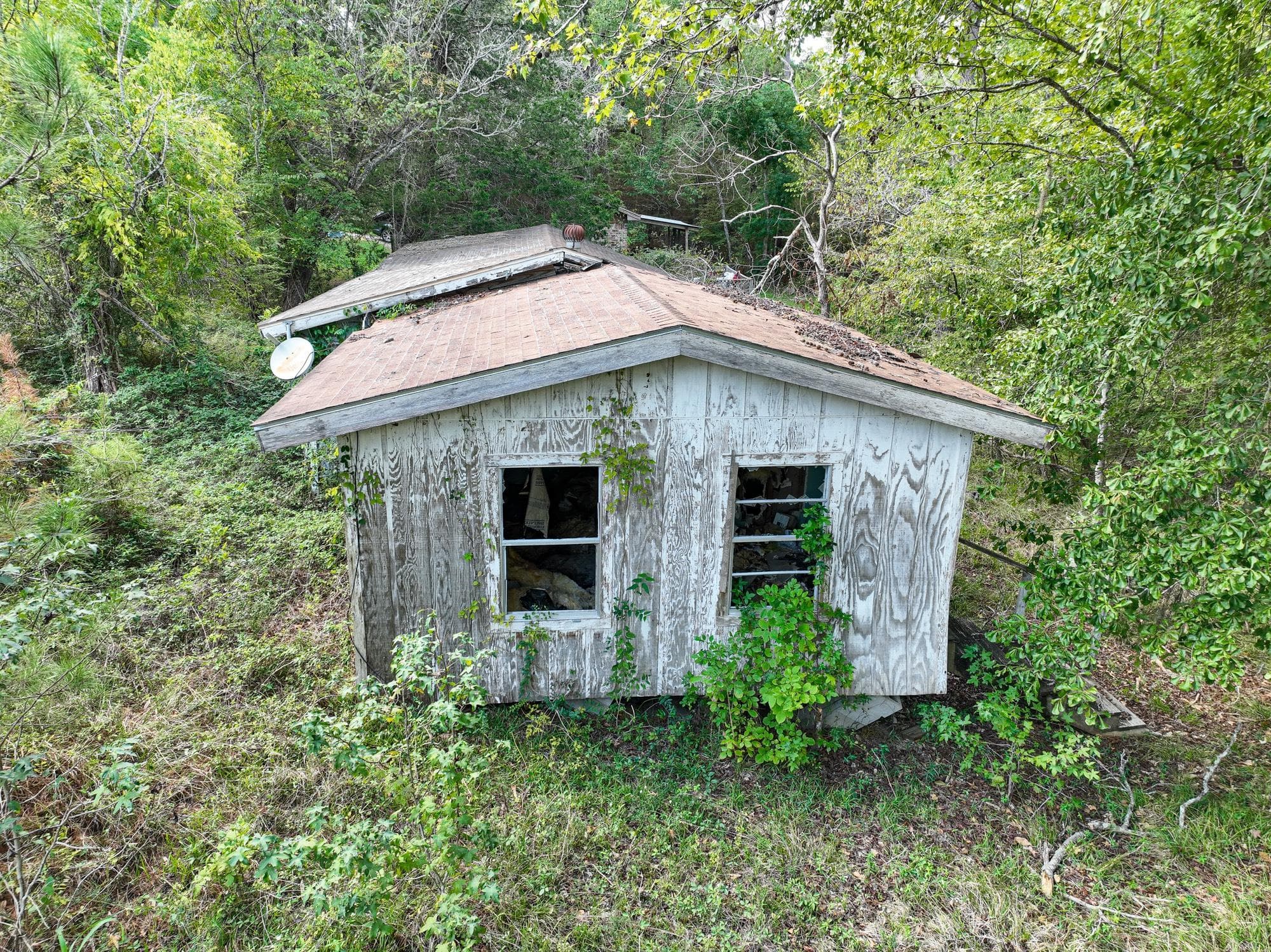 Gallery image 5