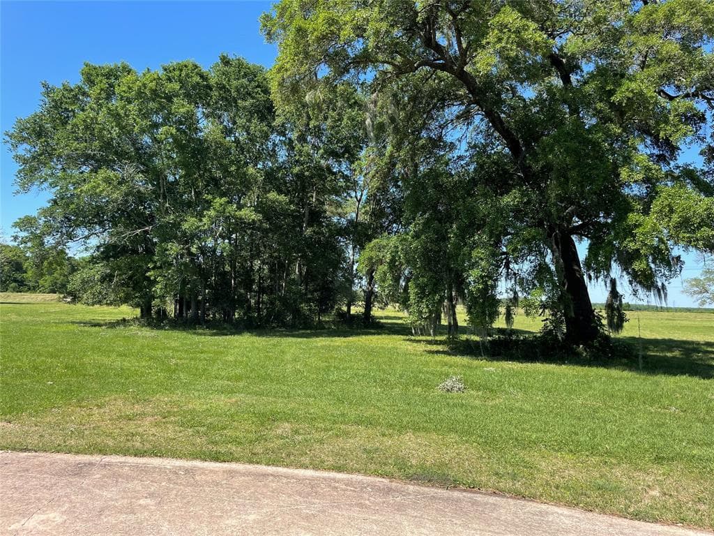 Green Pasture Ct