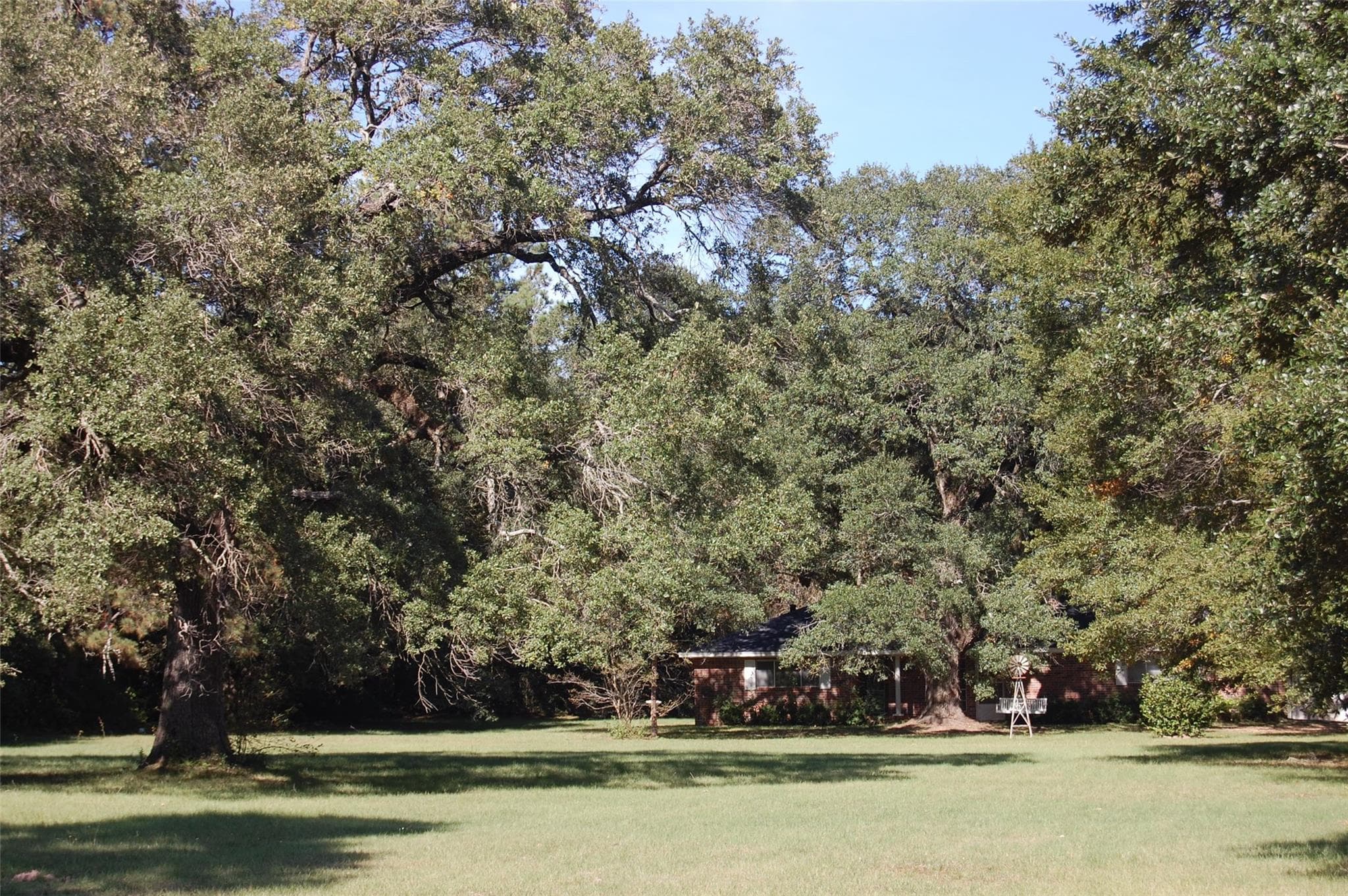Gallery image 3