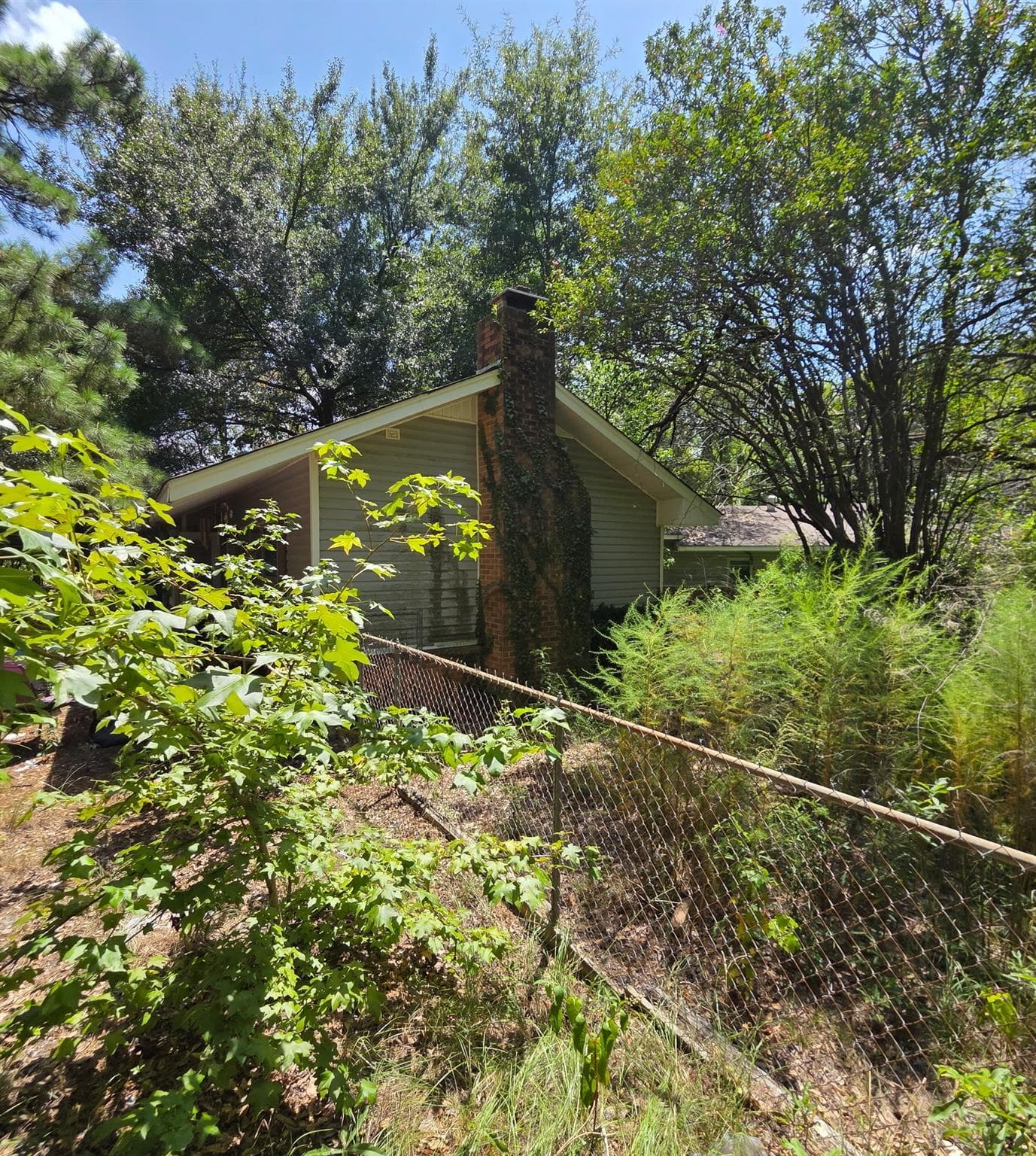 Gallery image 4