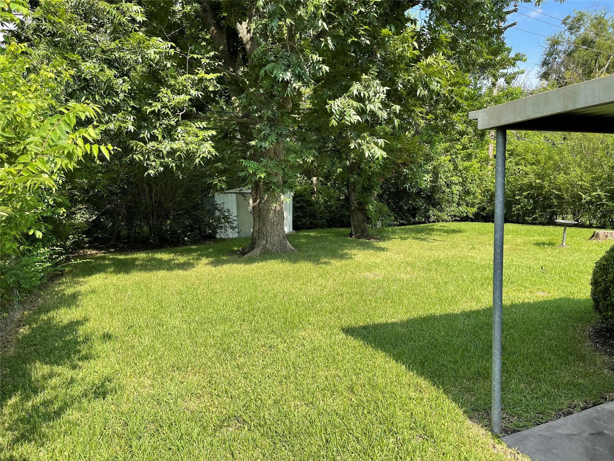 Gallery image 5