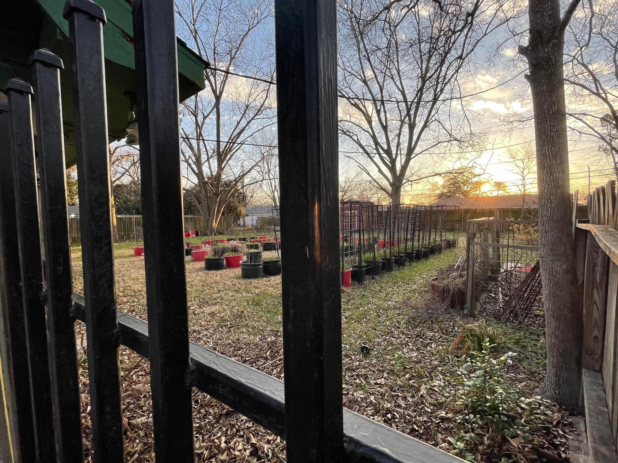 Gallery image 2