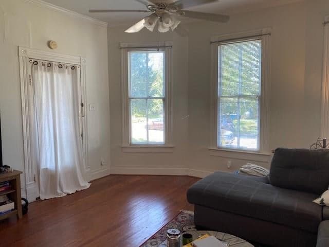 Gallery image 4