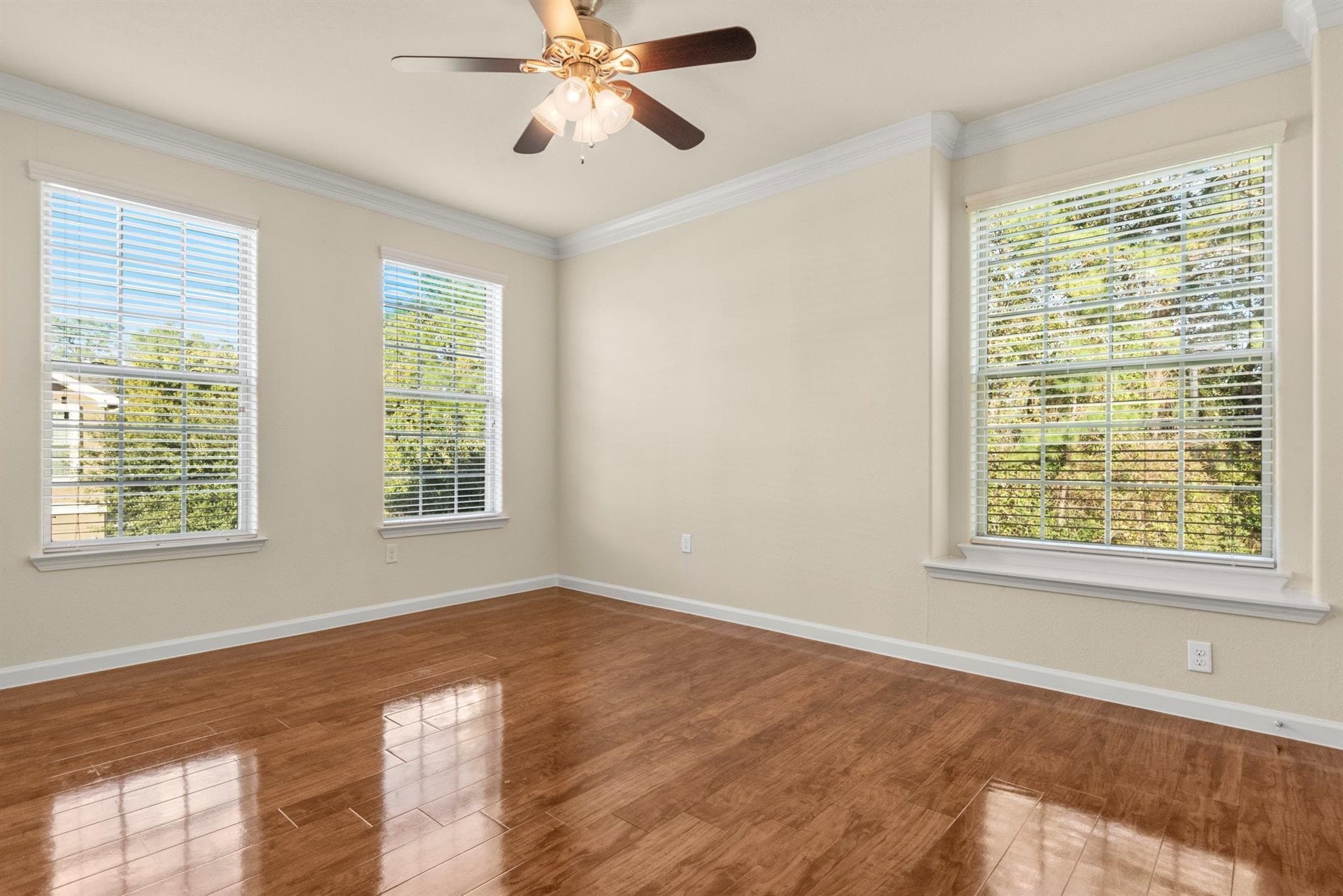 Gallery image 5