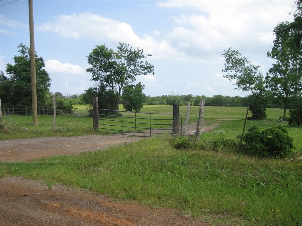 Gallery image 5