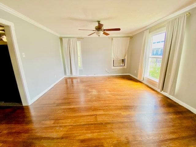 Gallery image 4