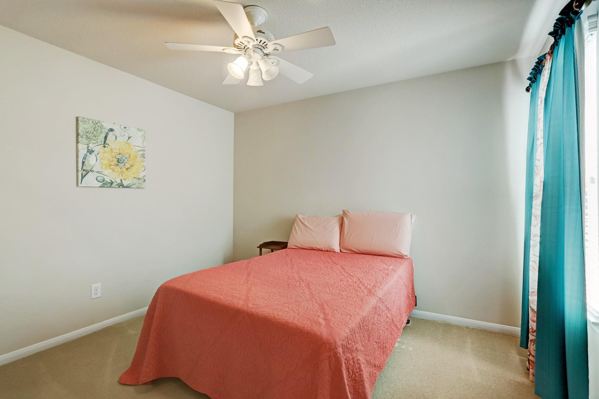 Gallery image 5