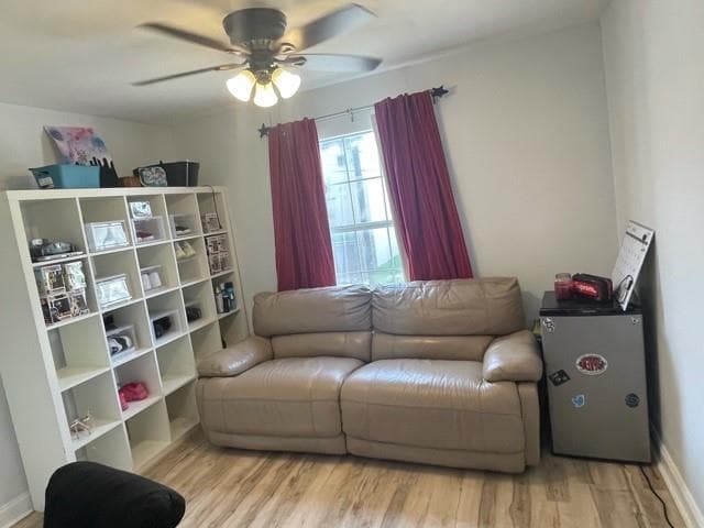 Gallery image 5