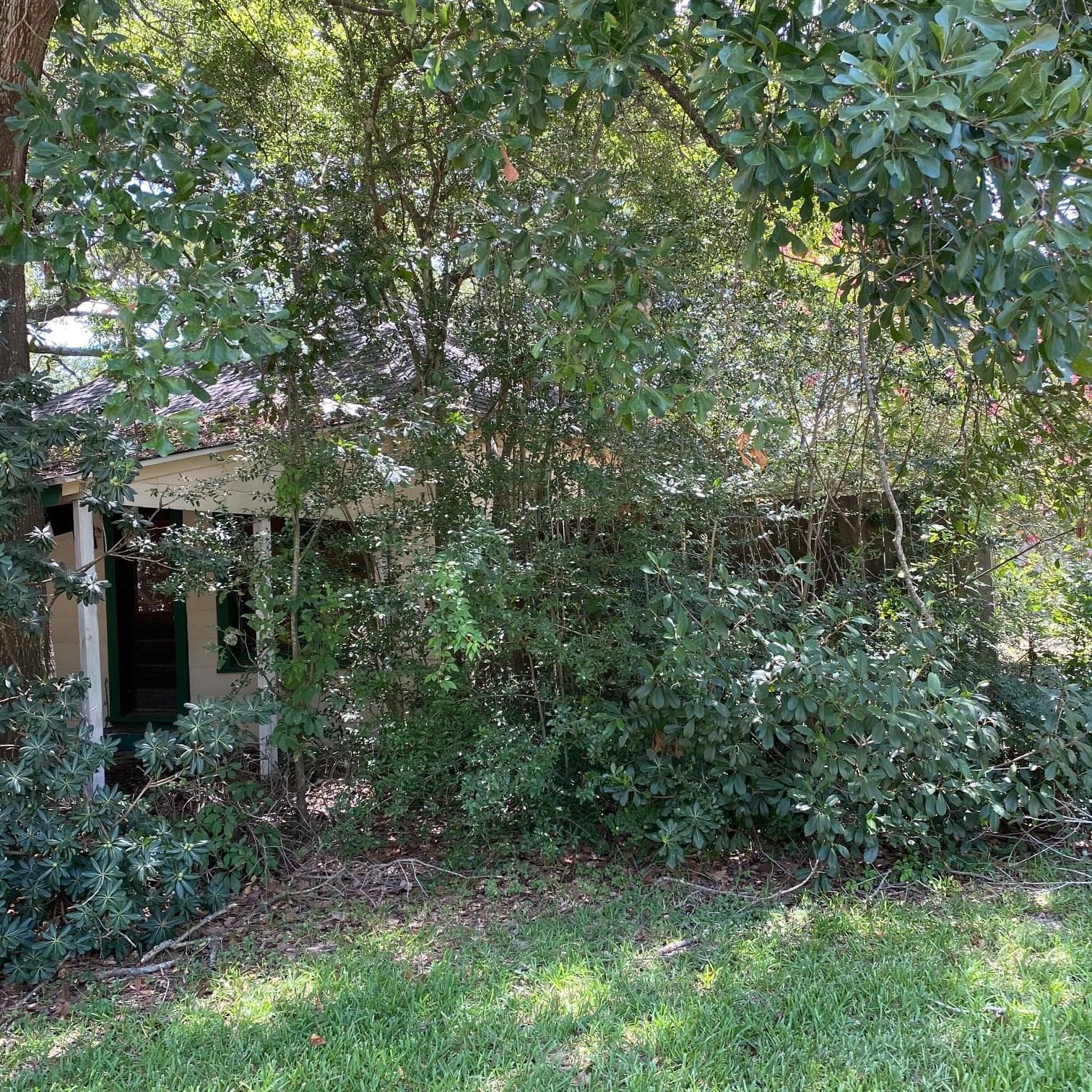 Gallery image 5