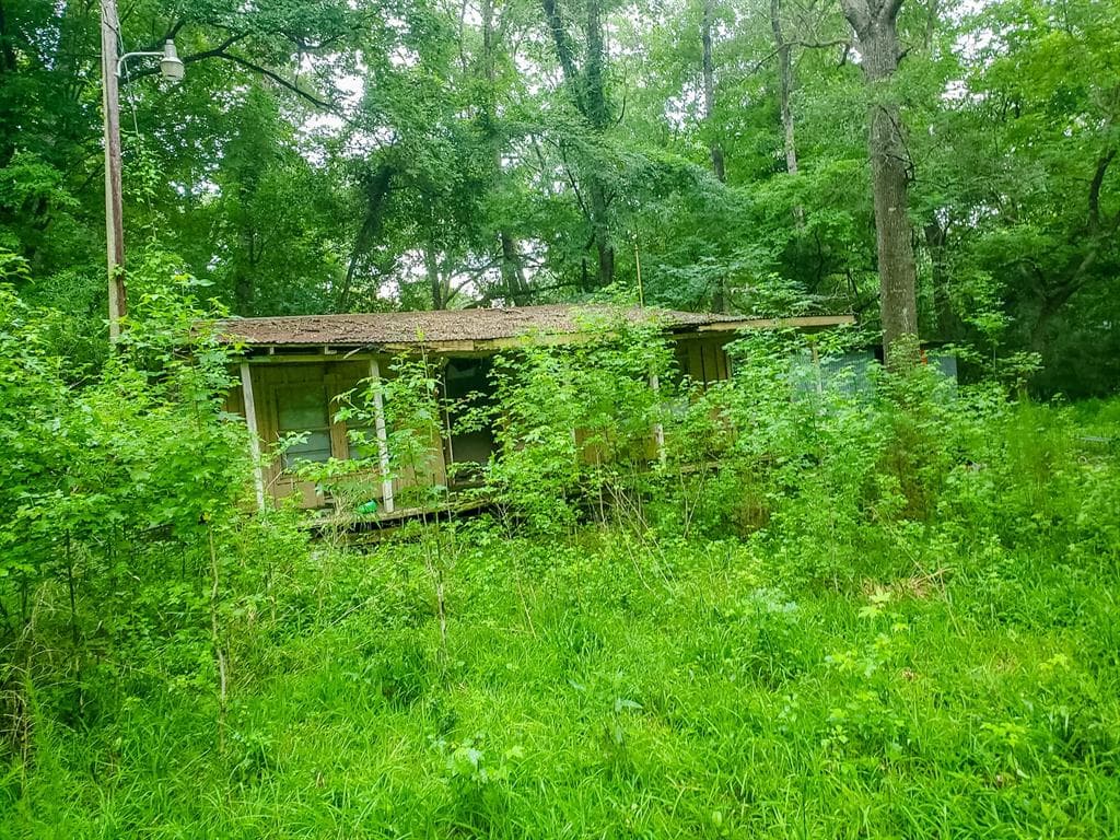 299 Bluebonnet Dr