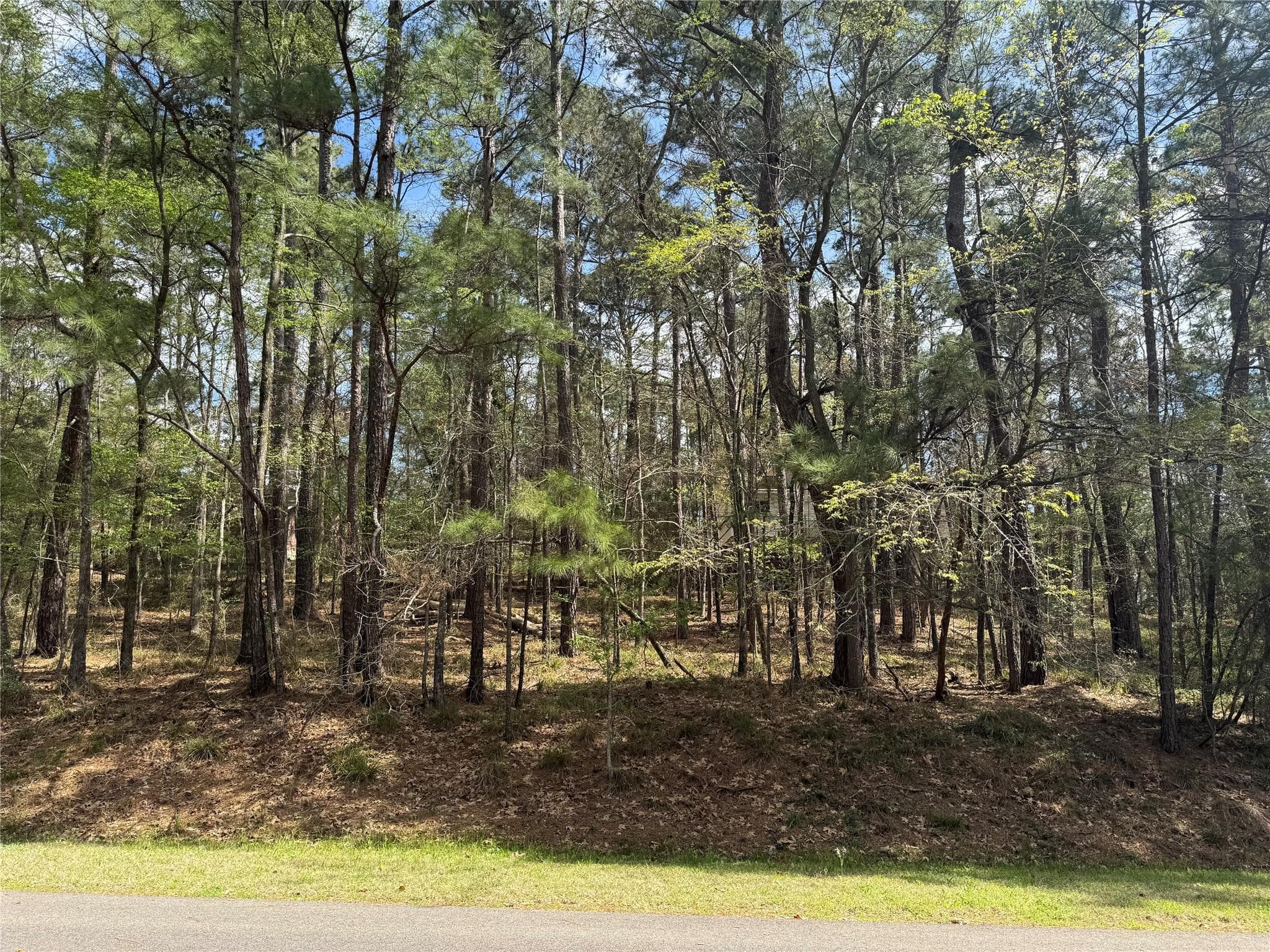 107 Green Tree Dr
