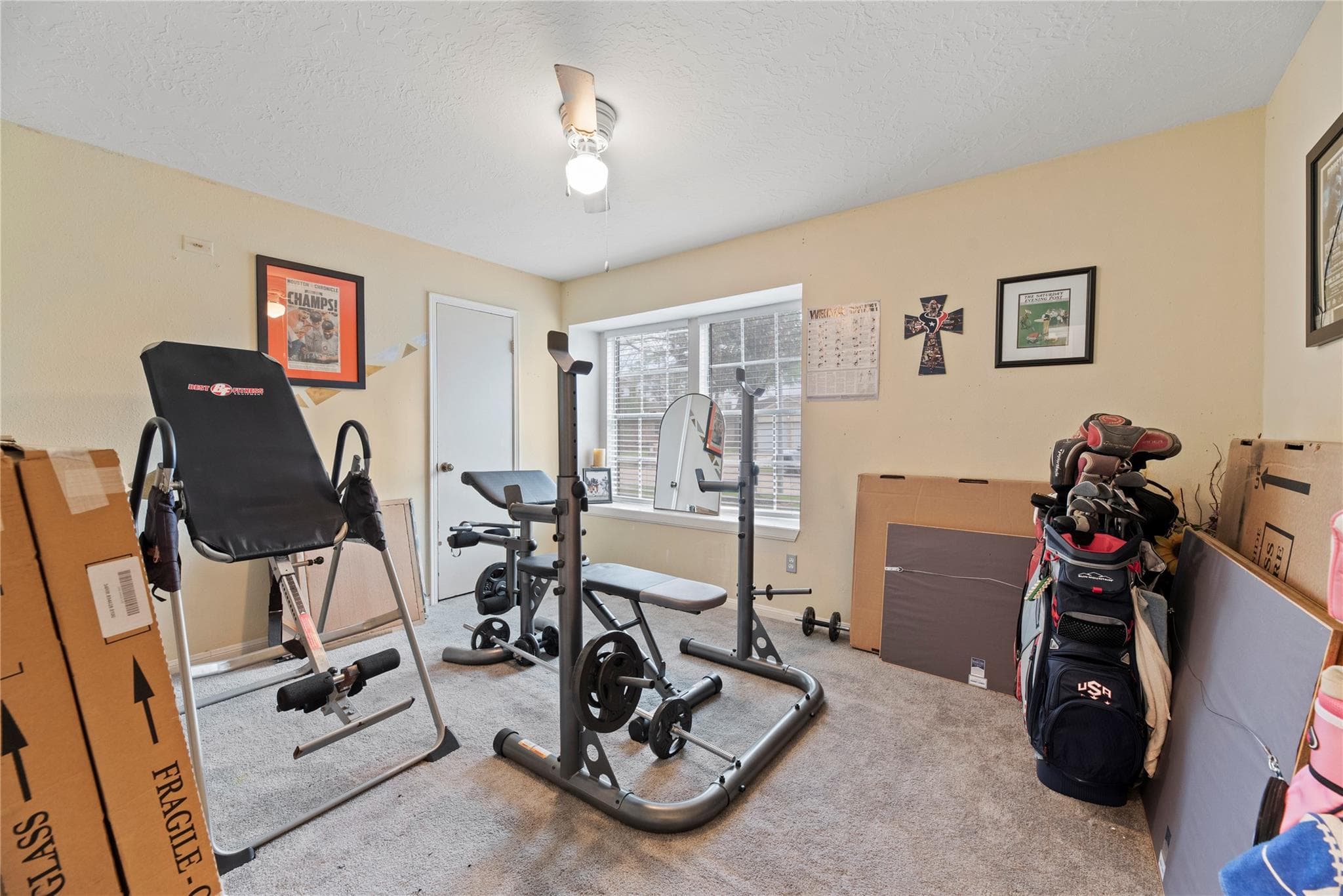Gallery image 4