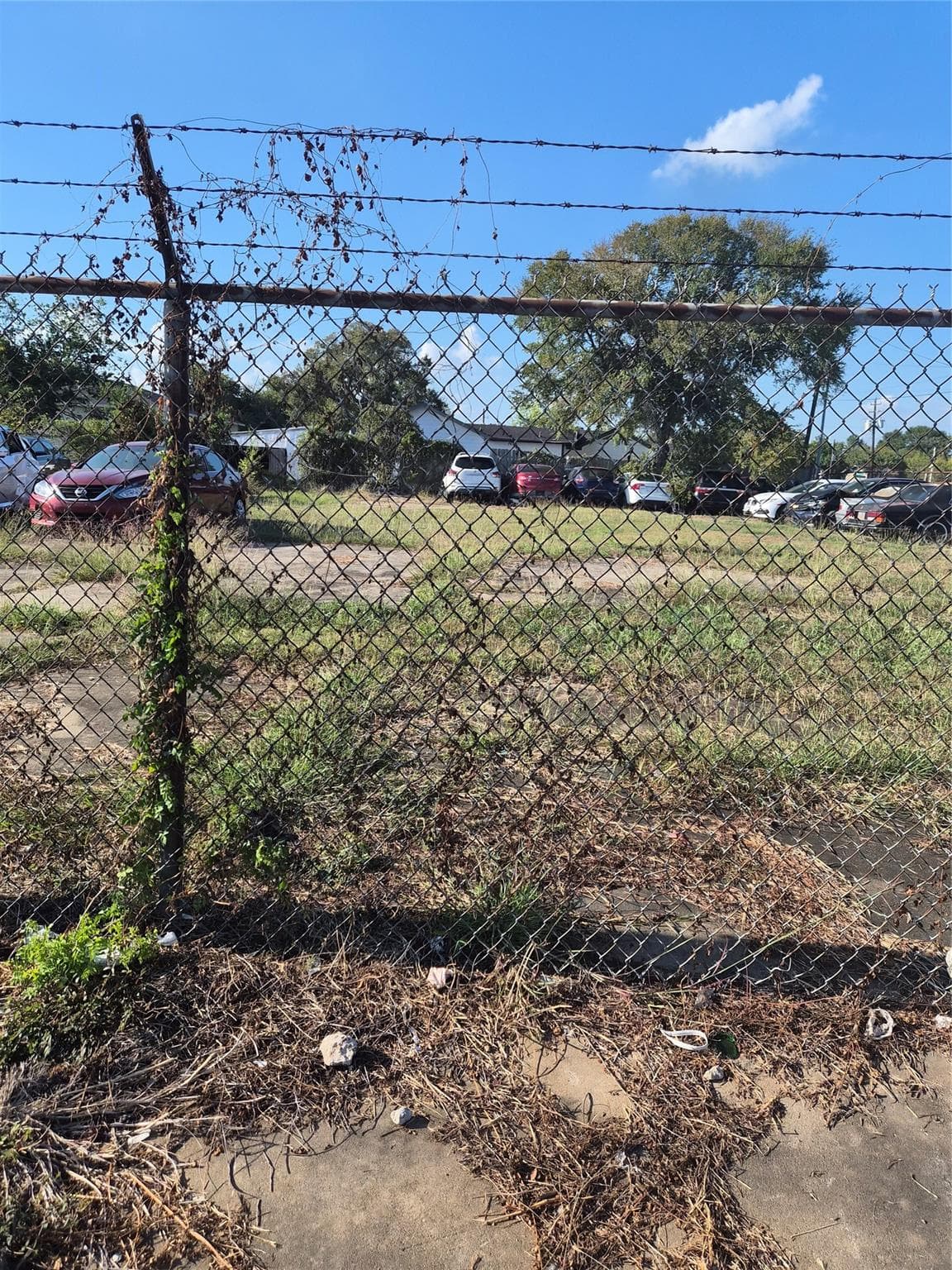 Gallery image 5
