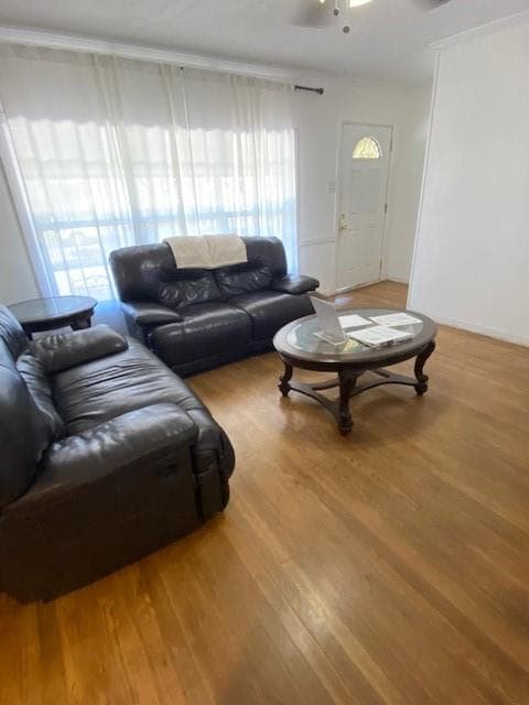 Gallery image 3