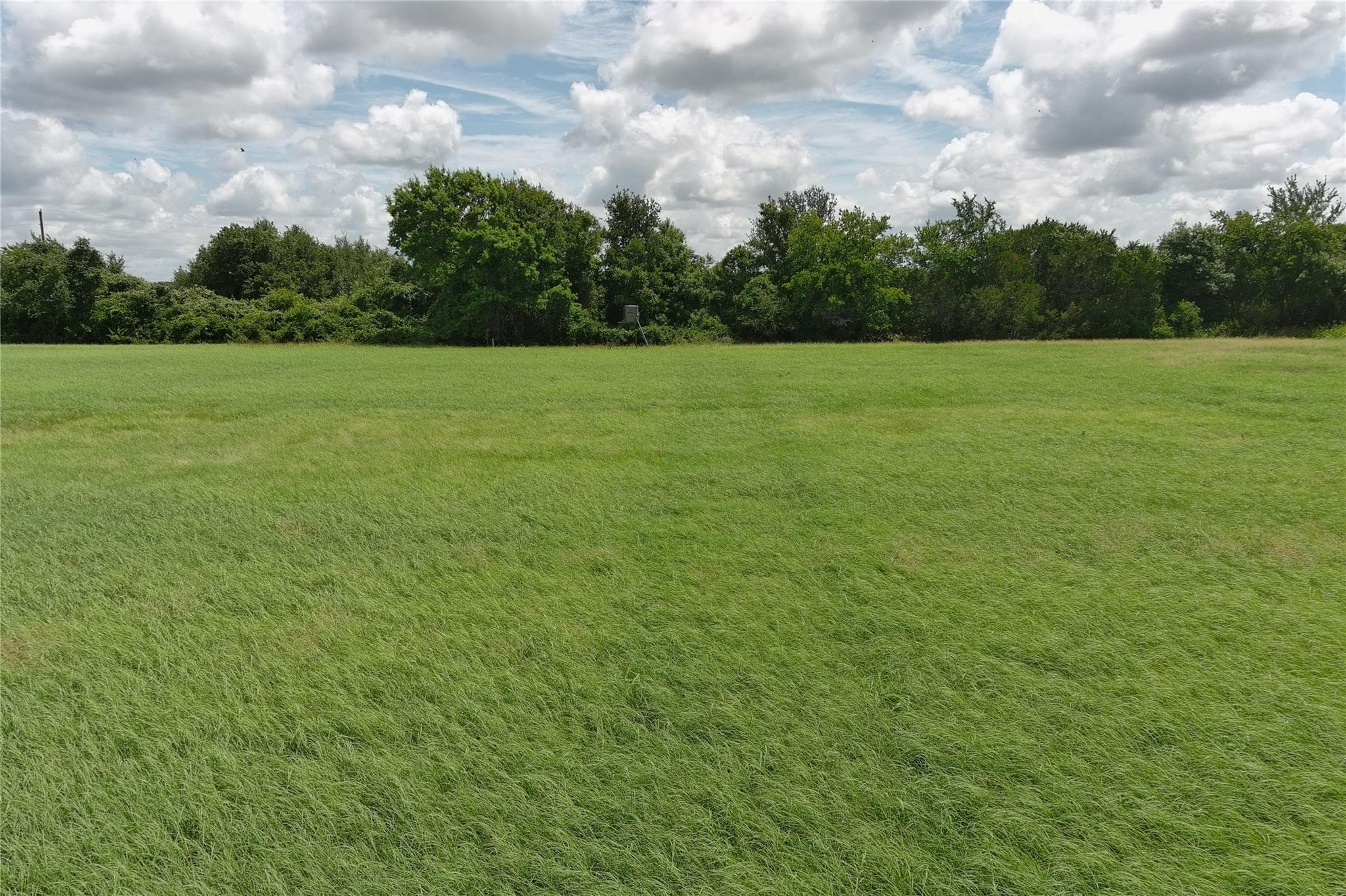1298 N Fm 199