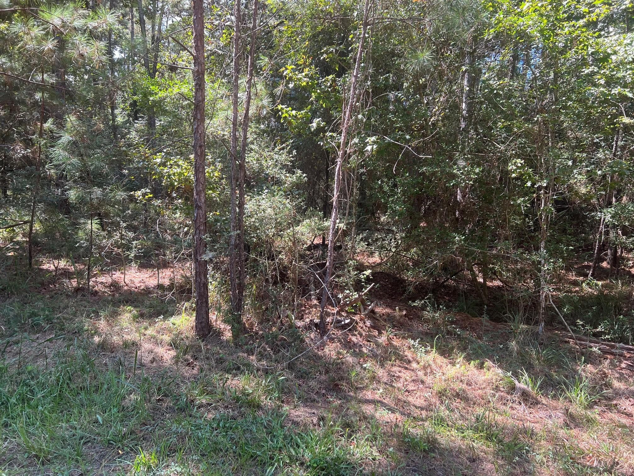 Gallery image 4