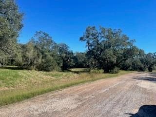 81 Center Tree Dr