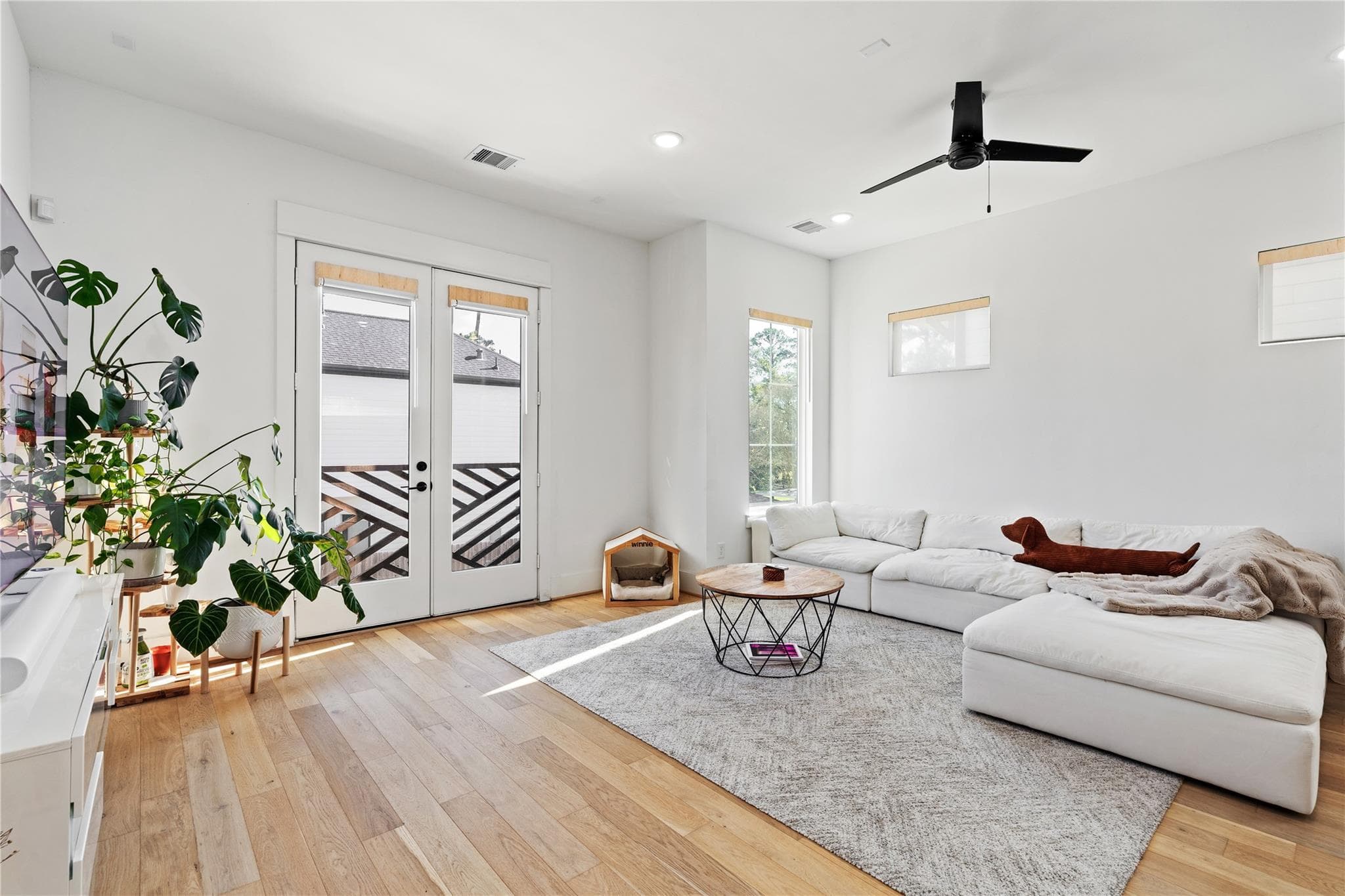 Gallery image 5