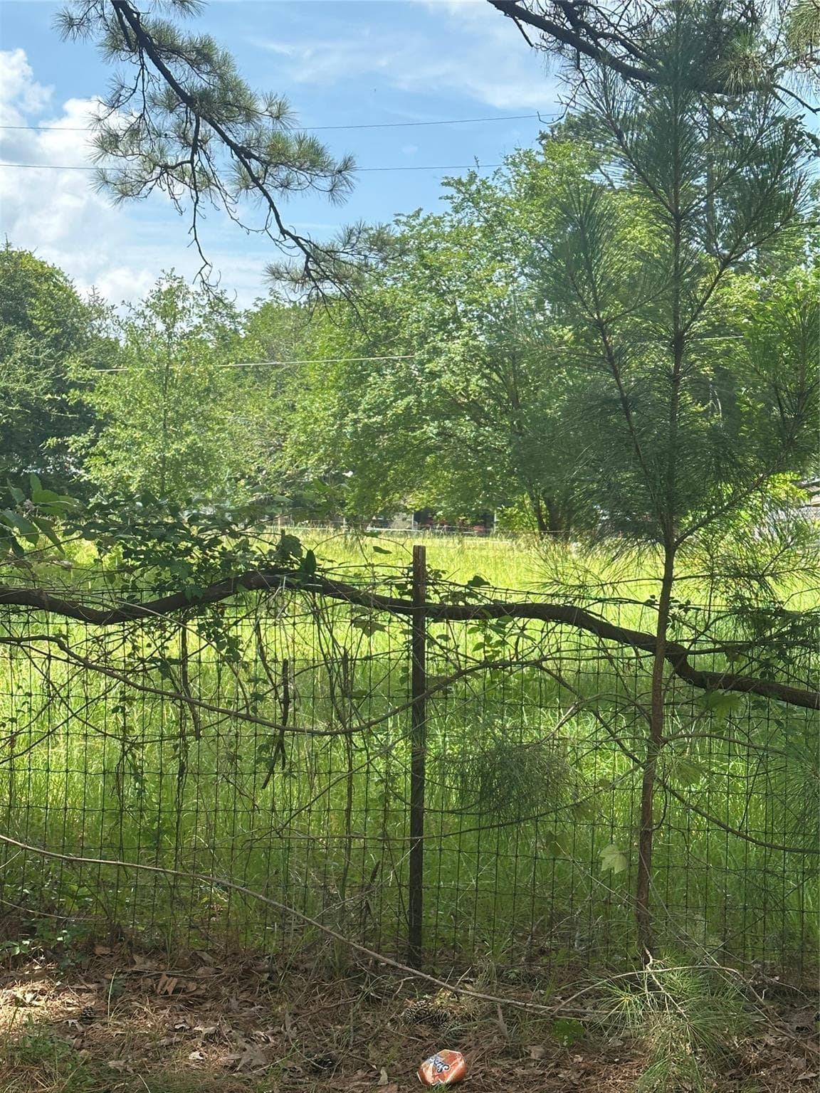 164 Moon Mist Dr