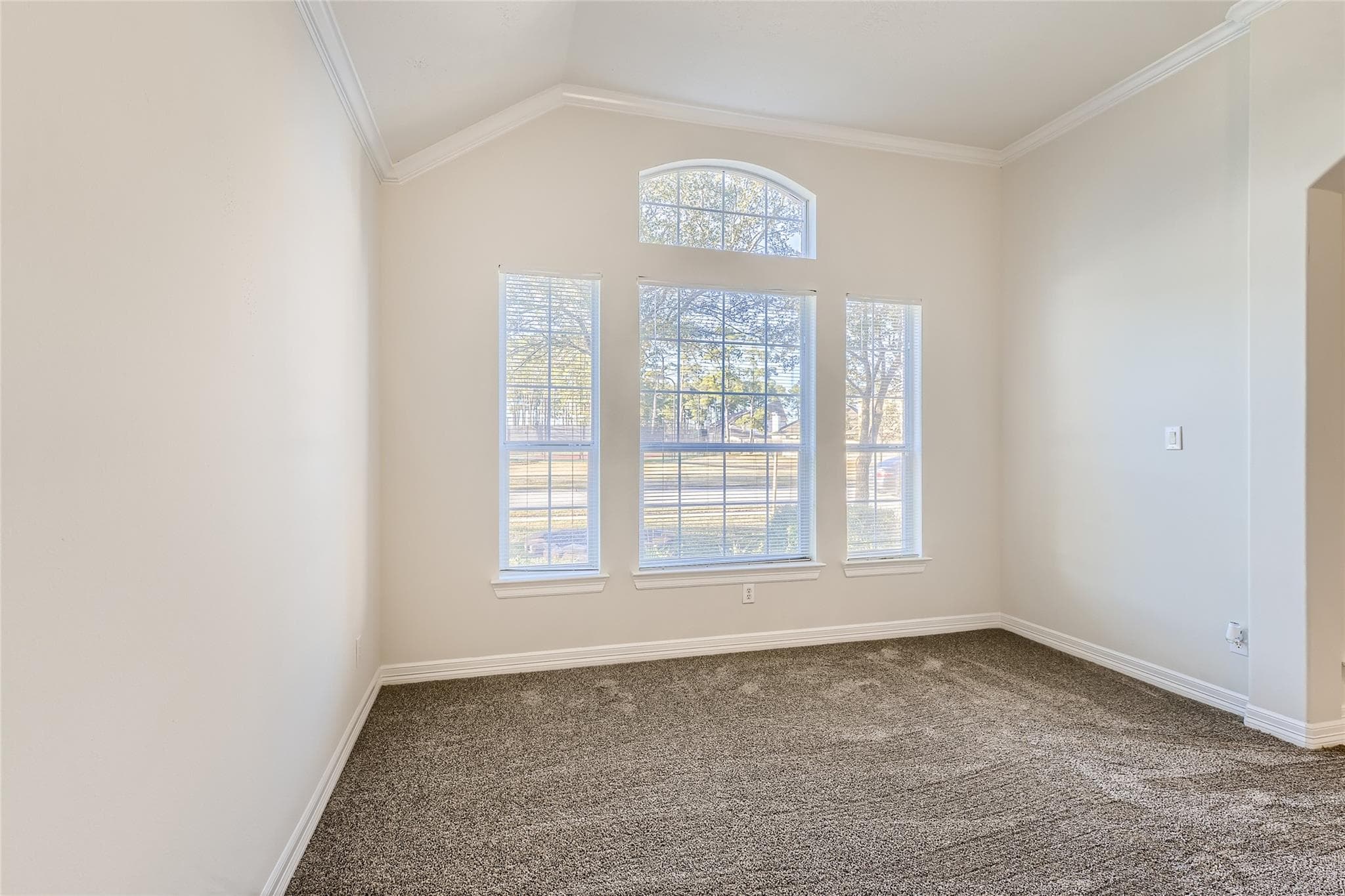 Gallery image 4