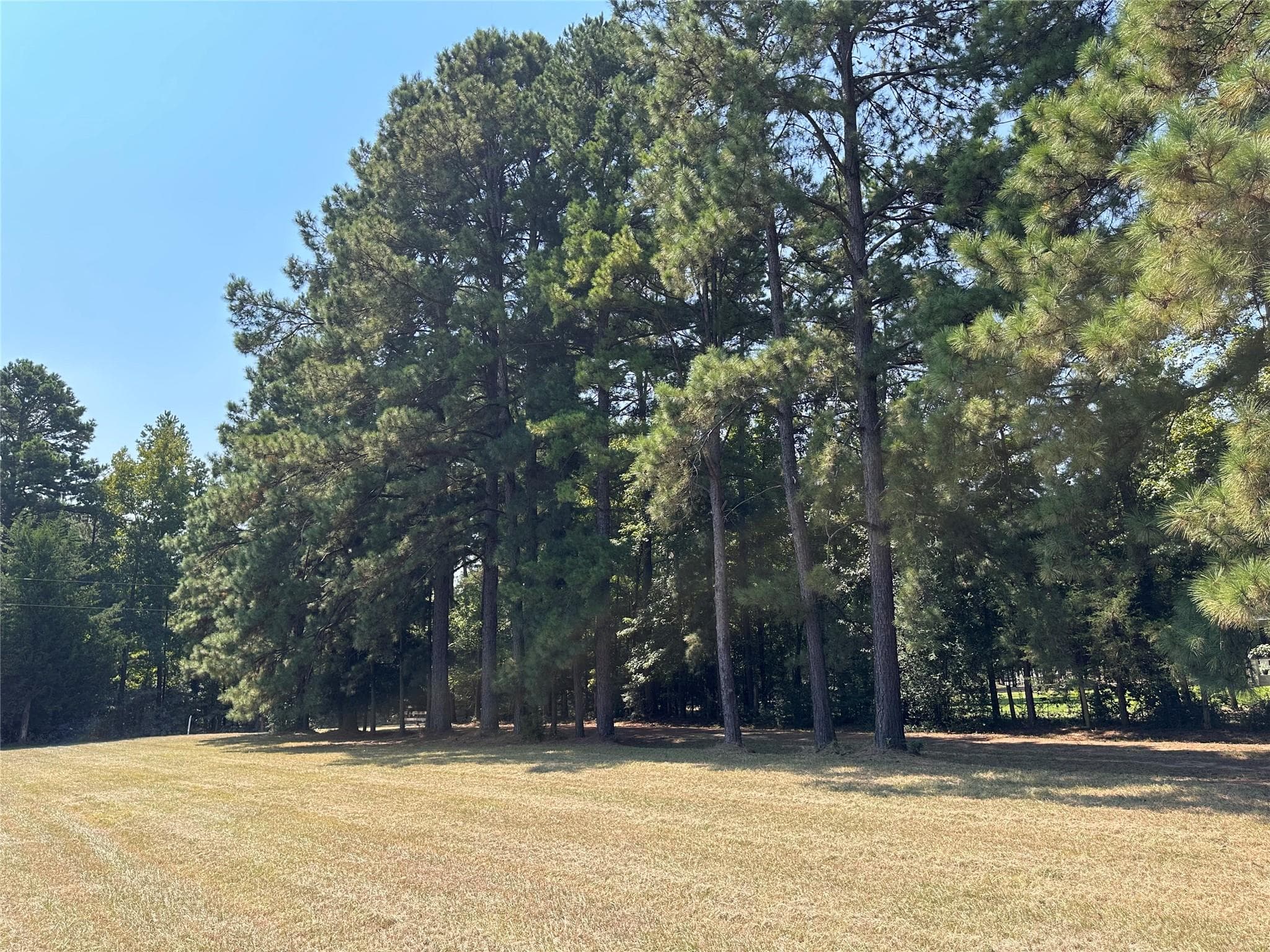 3653 County Road 1170