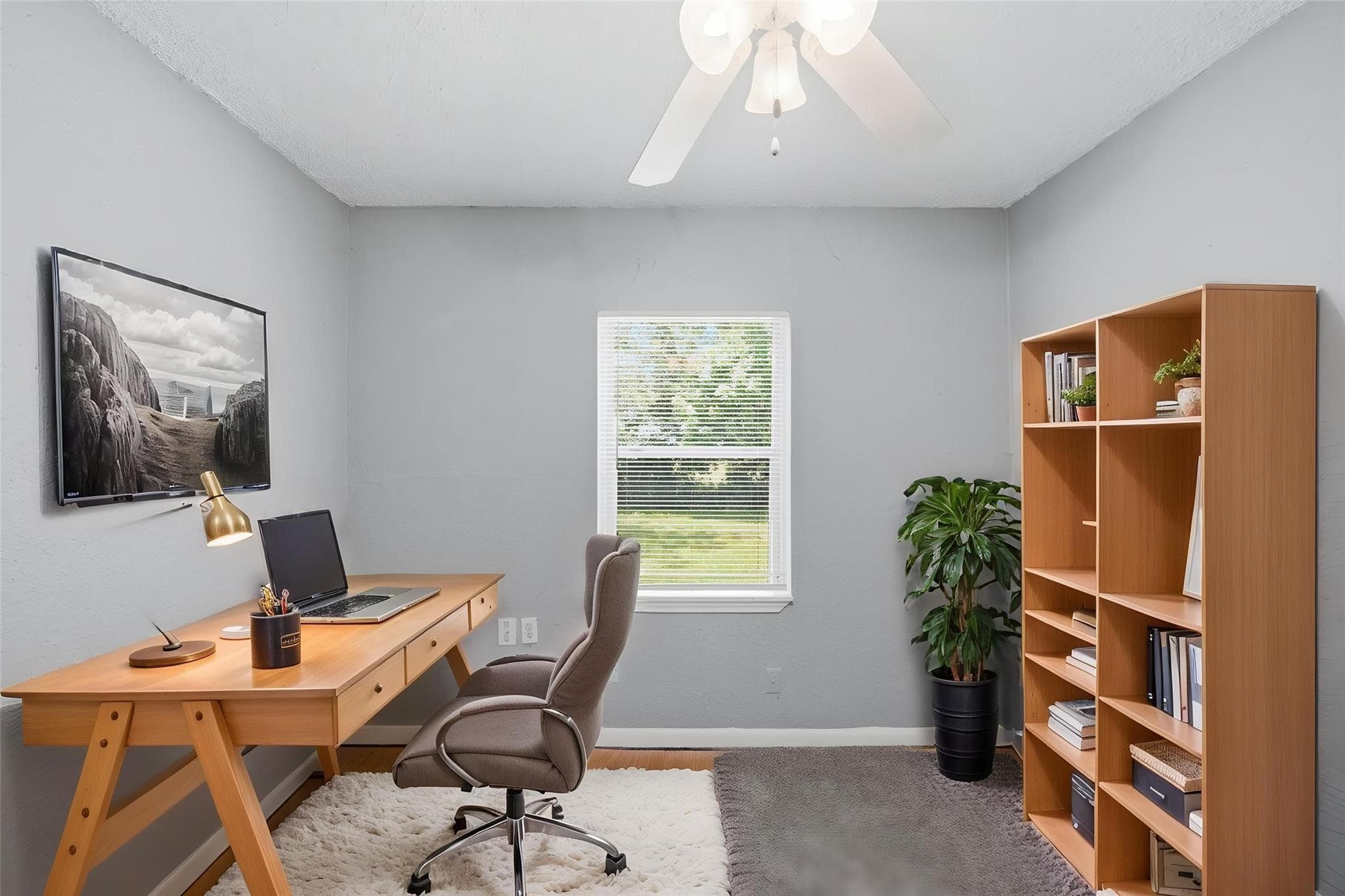 Gallery image 4