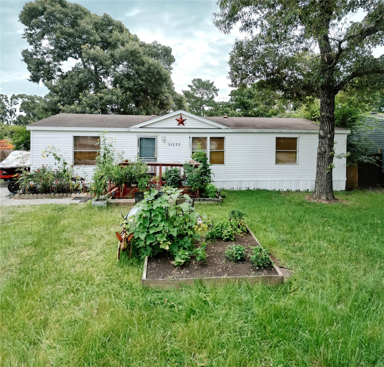 31222 Wide Oak Cir