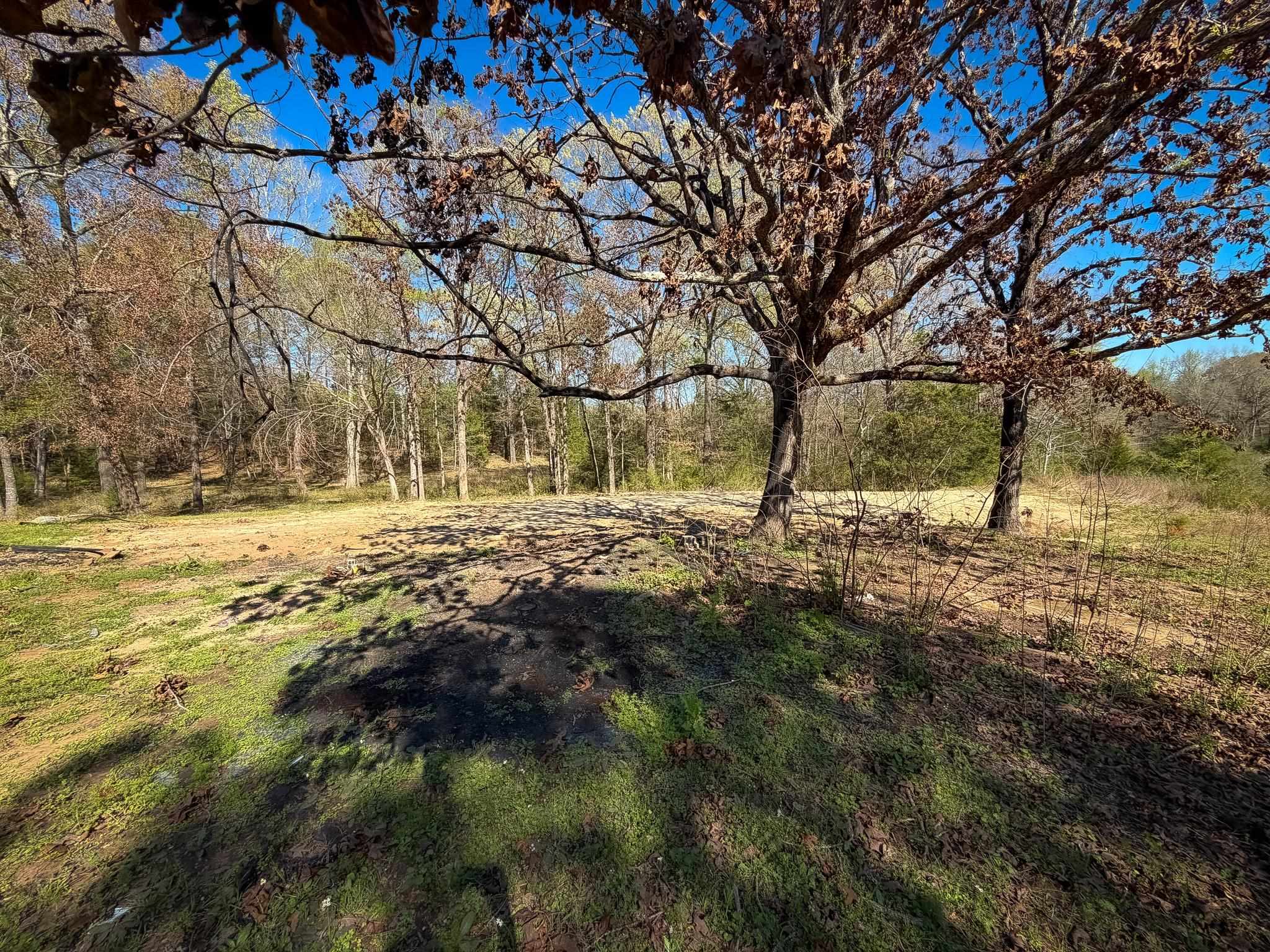 941 Dogwood Trl