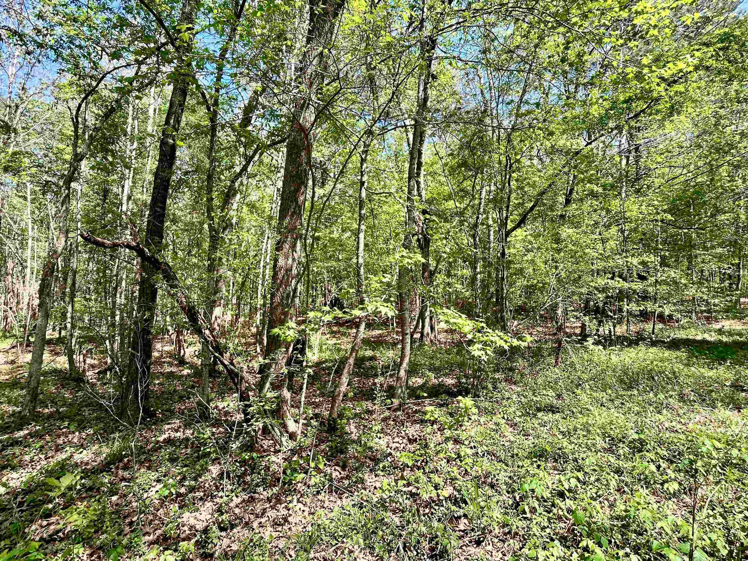 Gallery image 5